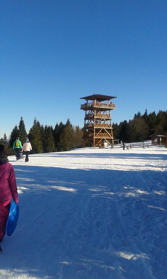 Ubytovanie Sokolica Červený Kláštor 外观 照片